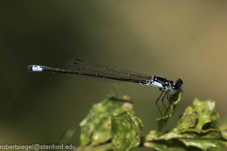 emily renzel wetlands 2023